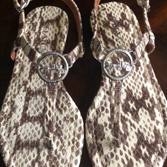 🌟COACH Thong Sandal🌟 - Picture 4 of 9